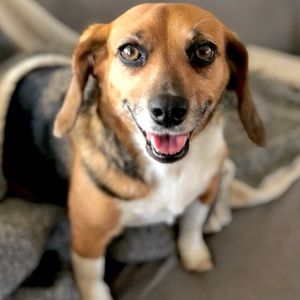 Meet your Posher, Julie